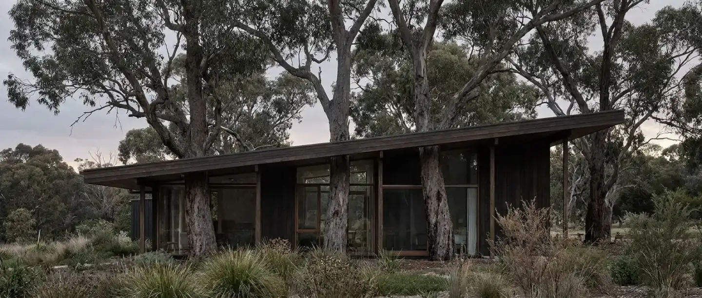 Single-storey dark timber house with a low skillion roof set among mature eucalyptus trunks under an overcast sky