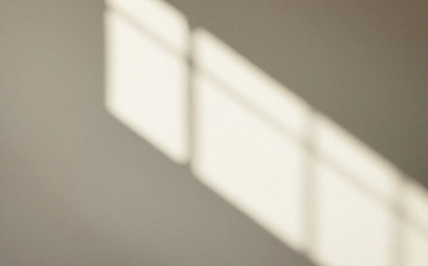 A limewashed plaster wall in soft raking light