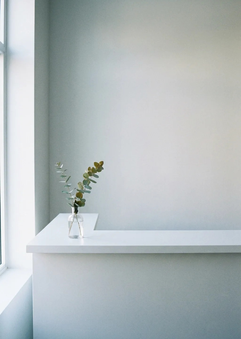 Soft morning light through a clinic window onto a treatment bench.