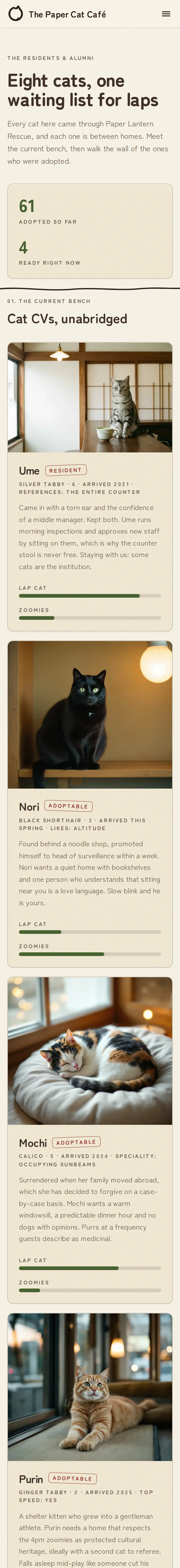 The Paper Cat Cafe, the The Cats page